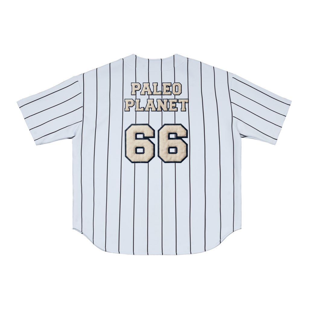 Paleo Planet Pinstripe Baseball Jersey