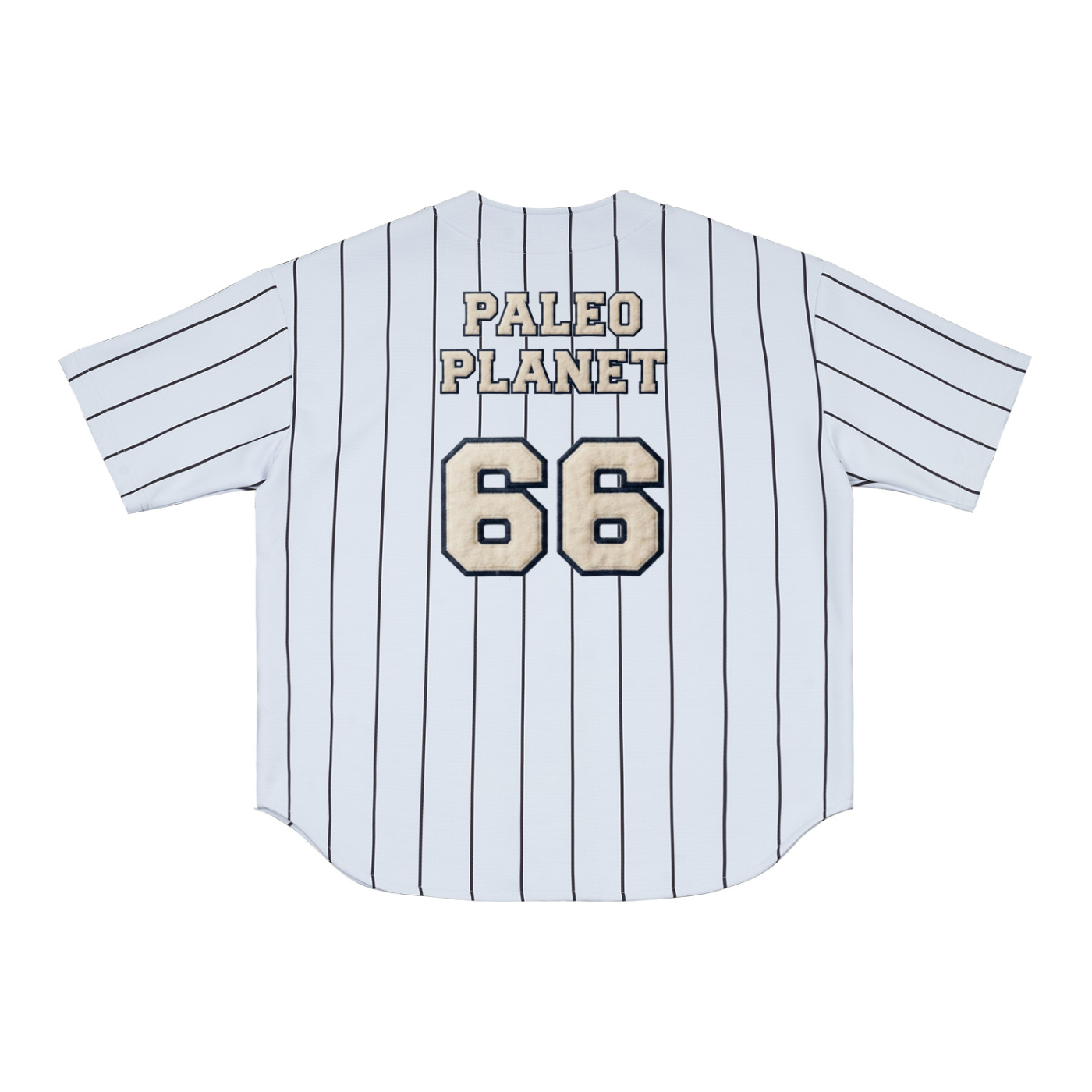 Paleo Planet Pinstripe Baseball Jersey
