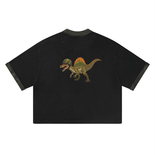 shirts,spino