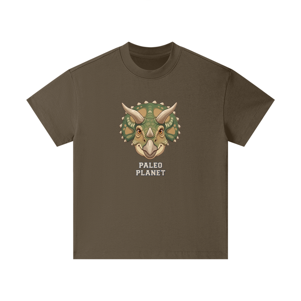 kids,Triceratops